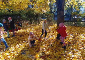 Zabawa w kolorowych liściach