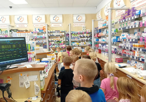 Delfinki po drugiej stronie lady