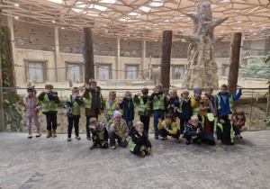 Dzieci podziwiają słonie