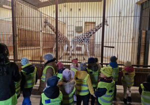 Dzieci słuchają o żyrafach