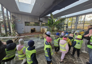 Dzieci oglądają hipopotamy