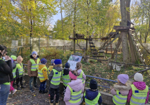 Dzieci oglądają pandy