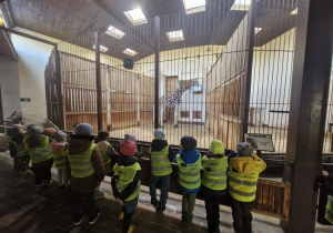 Dzieci oglądają żyrafy