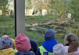 Dzieci ogladają tygrysicę