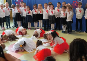 inscnizacja taneczna