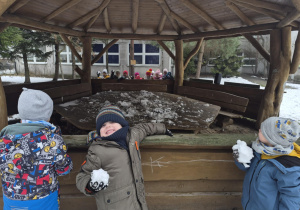 Biedronki podczas bitwy śnieżnej