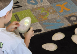 podświetlanie jajek latarką