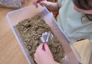 dzieci szukają szczątek diznoazura w piasku