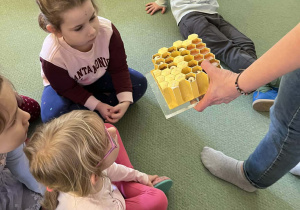 Przedszkolaki dowiadują się, skąd się bierze miód i jak powstaje w ulu