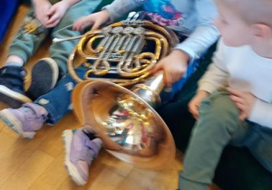 Tygryski poznają instrumenty