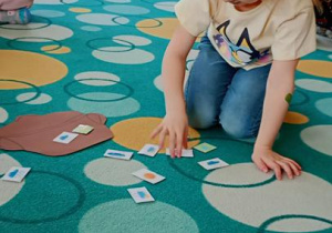 Sara szuka mrcowej pogody.