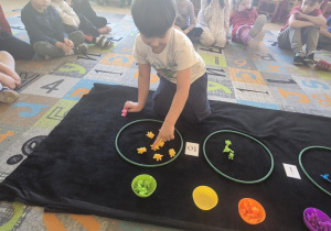 zabawa matematyczna ze szczypcami