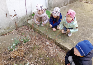 Maluszki odnalazły w ogrodzie przebiśniegi