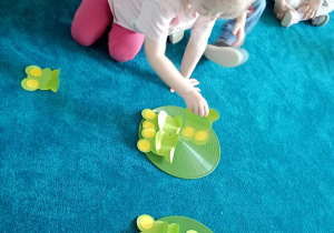 Dziewczynka układa na drugim listku tyle żabek, ile jest na pierwszym listku