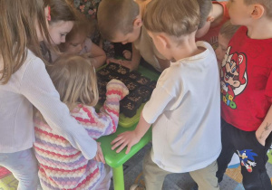 Dzieci obserwują, czy kiełkuje owies