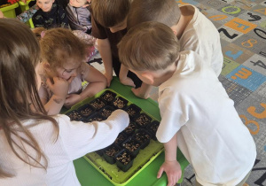 Dzieci obserwują, czy kiełkuje owies