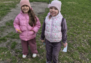 Jeżyki podczas poszukiwań wiosny w ogrodzie