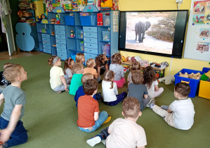 Maluszki oglądają filmik edukacyjny o słoniach