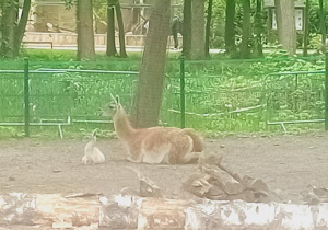 Mama lama z dzieckiem