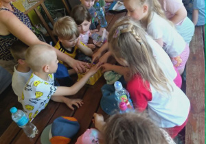 Dzieci poznają życie pszczół