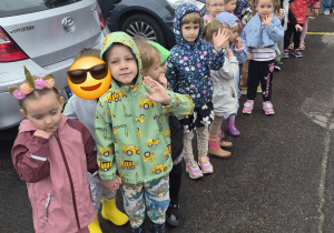 Kotki po udanej próbie ewakuacji